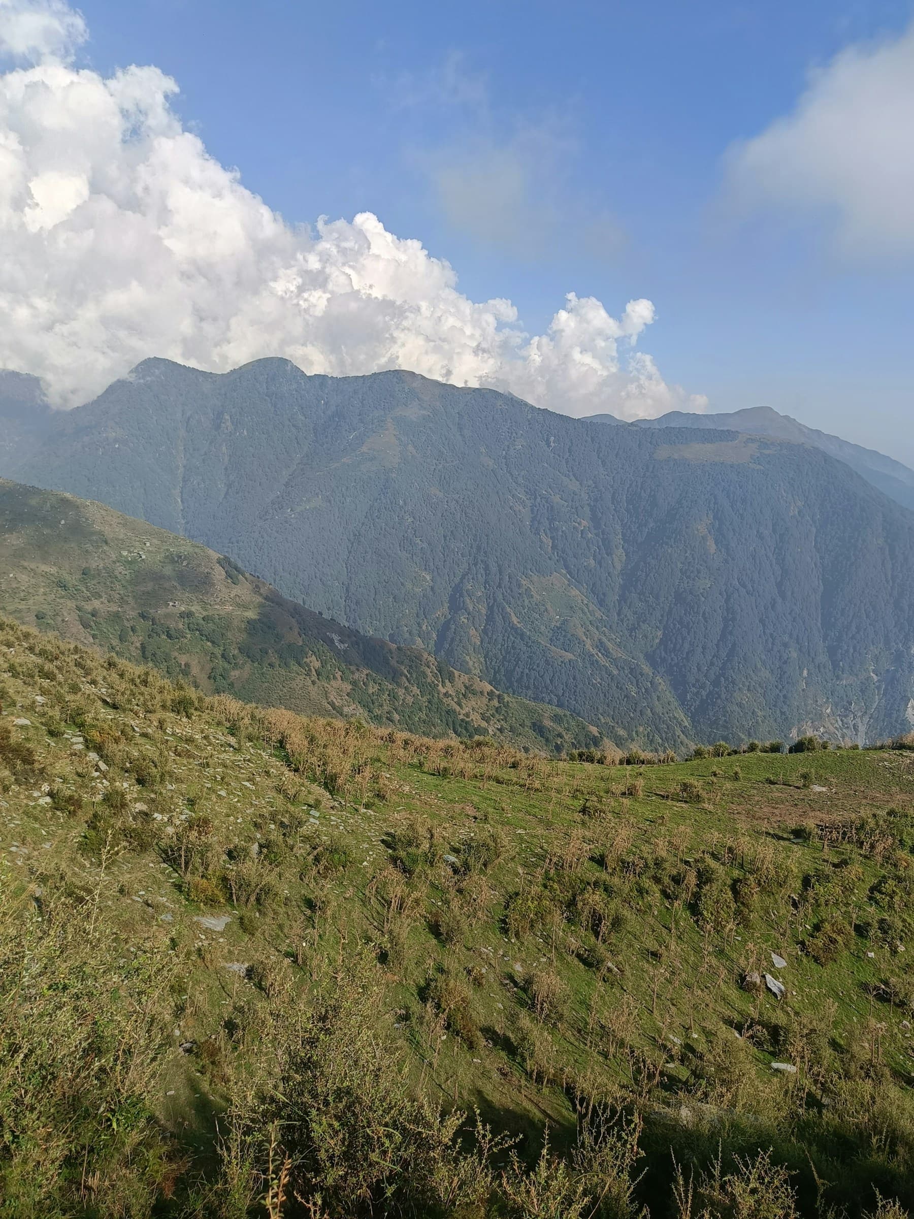 Forested Himalayan ridges above the Kangra foothills