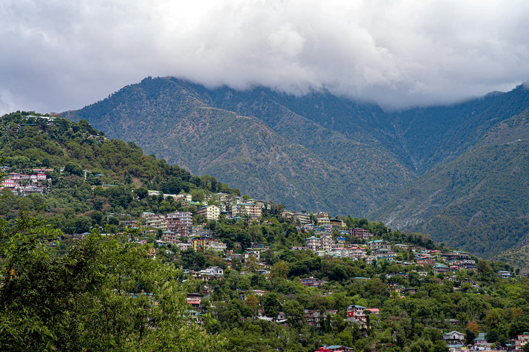 Hill town nestled in the Dhauladhar range near Dharamsala